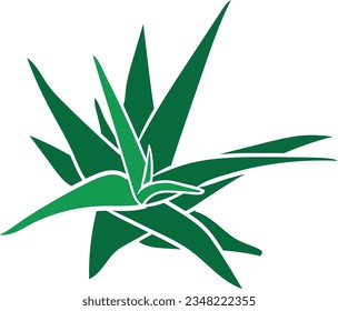 Einfache Vektorgrafik Aloe Vera Pflanze.