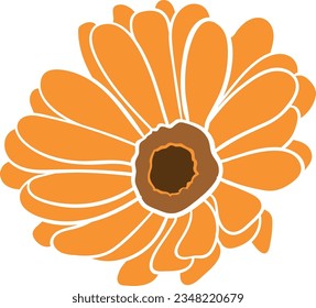 Simple vector illustrated flower of pot marigold.