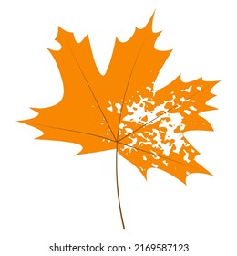 Herbstblatt mit einfacher Vektorgrafik