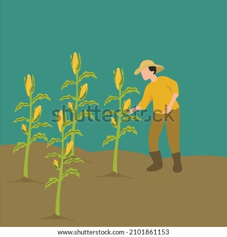 Simple Vector illustration background about young male farmer picking the corn on the tree. Happy Professional farmer. Farming challenge the minimalist concept. Modern design vector illustration