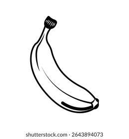 A simple vector illustration of a banana fruit icon isolated on a white background. Great for graphic design projects and more. Vector format.