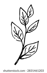Simple hand‑drawn vector illustration with a black outline. Tree branch with leaves. Nature and plants, vegetation. Sketch in ink.