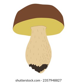 simple vector illustration brown mushroom