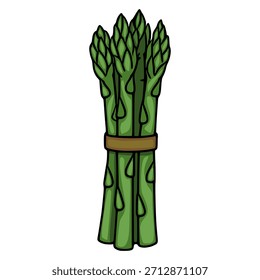 Ilustração vetorial simples de um punhado de lanças de espargos verdes frescas amarradas com uma faixa marrom, isoladas em branco.