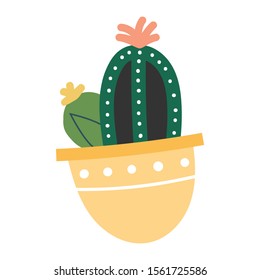 Simple vector  illustration of cactus with flower in pot. Potted green houseplant, interior decoration, isolated clip art