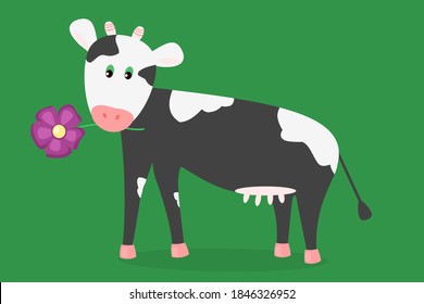 Simple vector illustration of cute cartoon black and white cow holding a flower in her mouth.