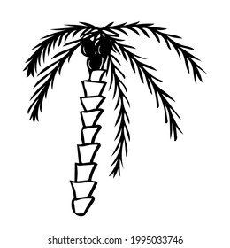 A simple vector illustration drawn by hand with a coconut tree. Black and white sketch for emblems, logos, children's design, tourist flyers and banners.