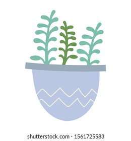 Simple vector illustration of Echeveria succulent in pot. Potted green houseplant, interior decoration, isolated clip art