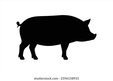 A simple vector illustration featuring the silhouette of a pig. The pig stands confidently, showcasing its round body and distinct features, presented against a clean white background.