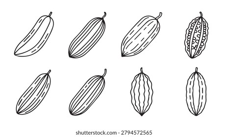 A simple vector illustration featuring various cucurbits and gourds sketched with clean linework against a plain backdrop. Ideal for healthy eating promotions.