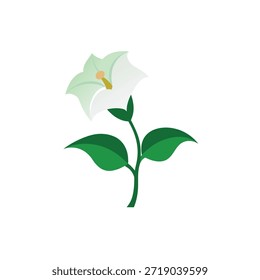 Eine einfache Vektorgrafik mit einer weißen, glockenförmigen Blume und leuchtend grünen Blättern