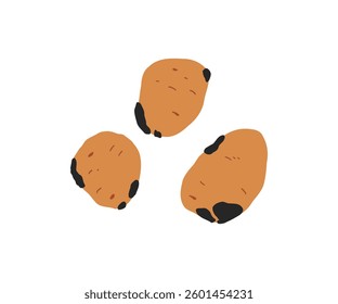 Simple vector illustration of fresh potatoes. Suitable for agricultural, food, and farming-related designs.