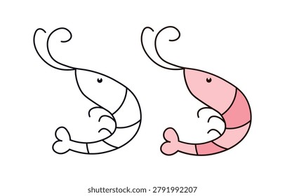 A simple vector illustration of a fresh seafood shrimp with curled feelers. Includes a bold black and white outline worksheet next to a soft pink colored reference guide.