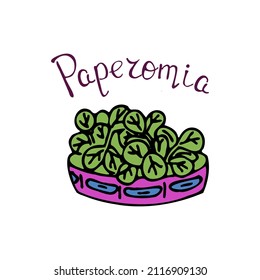 Ilustración vectorial simple. Una planta divertida. Imagen de fondo para banner, tarjeta de saludo, invitación, decoración.