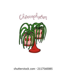 Ilustración vectorial simple. Una planta divertida. Imagen de fondo para banner, tarjeta de saludo, invitación, decoración.