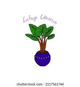 Simple vector illustration. Funny plant. Background image for banner, greeting card, invitation, decoration.