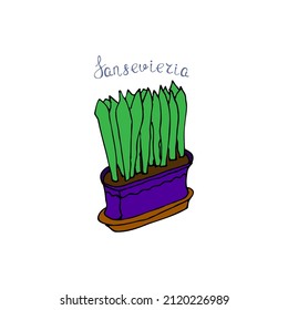 Ilustración vectorial simple. Una planta divertida. Imagen de fondo para banner, tarjeta de saludo, invitación, decoración.