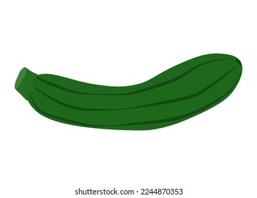 ilustración vectorial simple del calabacín verde