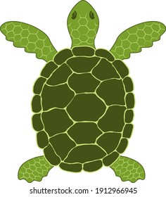 Simple vector illustration of a green sea turtle (Chelonia mydas). Schematic conceptual image of a Pacific green turtle