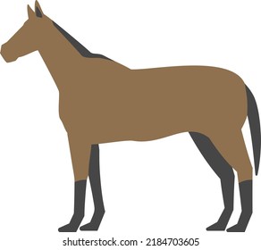 Simple vector illustration of horse sideways