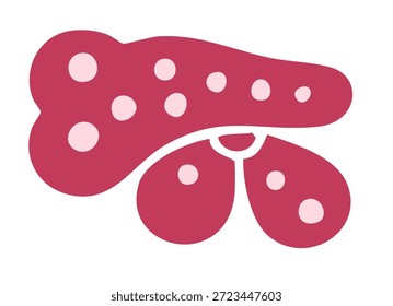Ilustración vectorial simple del páncreas humano para la salud médica y endocrina Educación