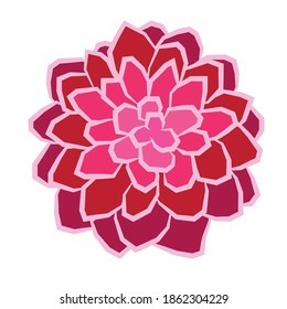 simple vector illustration icon of a pink red flower aster isolated on white background