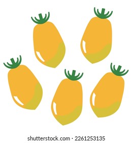 simple vector illustration of ildi tomatoes