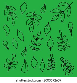 simple vector illustration leaves on green background