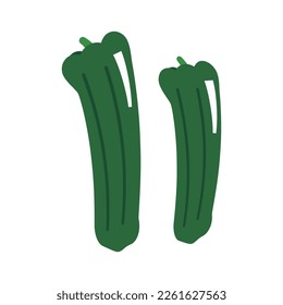 Simple vector illustration of long thin pepper