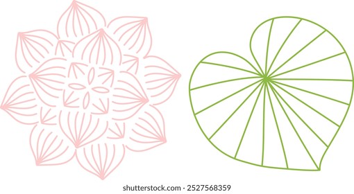 Simple vector illustration of lotus flowers and leaves drawn in line style