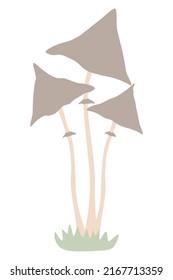 simple vector illustration with mushrooms