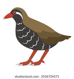 Simple vector illustration of a Okinawa rail