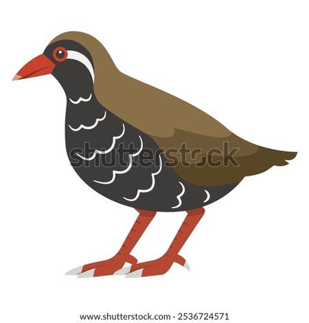 Simple vector illustration of a Okinawa rail