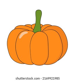 simple vector illustration with orange  pumpkin 