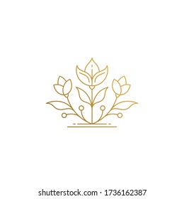 Simple vector illustration of outline graphic logo template of beautiful growing flower with bent stems and leaves drawn with golden lines