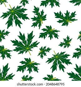 ilustración vectorial simple del patrón de hoja de papaya con fondo blanco
