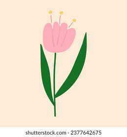 simple vector illustration pink flower 