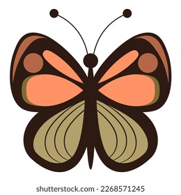 simple vector illustration pink and green butterfly