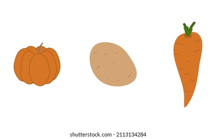 einfache Vektorgrafik-Kürbis, Karotten und Kartoffeln