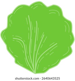 Simple vector illustration of a round green lettuce leaf, featuring clean lines and a flat cartoon style. Ideal for food packaging, healthy eating visuals, organic branding, and vegetarian design.