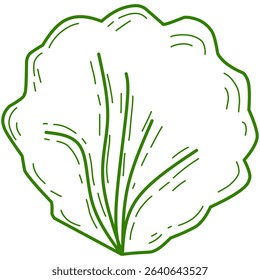 Simple vector illustration of a round green lettuce leaf, featuring clean lines and a flat cartoon style. Ideal for food packaging, healthy eating visuals, organic branding, and vegetarian design.