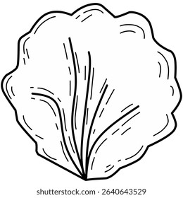 Simple vector illustration of a round green lettuce leaf, featuring clean lines and a flat cartoon style. Ideal for food packaging, healthy eating visuals, organic branding, and vegetarian design.