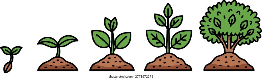 A simple vector illustration showing the five sequential growth stages of a plant, from a germinating seed to a mature green bush. This graphic is ideal for educational materials, biology diagrams, environmental concepts, and showcasing natural development or progress.