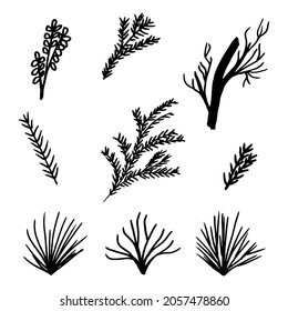 simple vector illustration silhouette seaweed 
