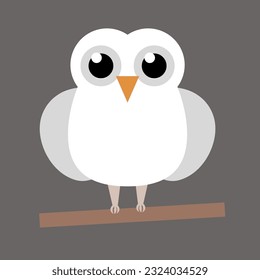 simple vector illustration small owl