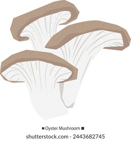 Simple vector illustration with texture of oyster mushrooms.