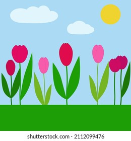 simple vector illustration tulip on field