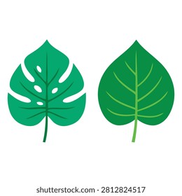 Simple vector illustration of two distinct green leaves with clear veins and shapes, perfect for nature or botanical designs.