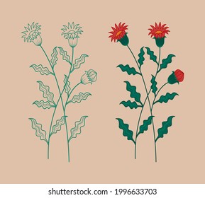 simple vector illustration of variant line style plant