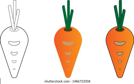 Simple vector illustrations carrot in different styles